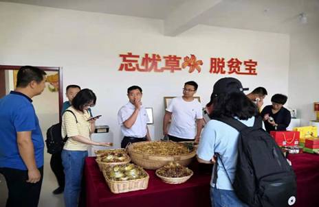 2020年大同云州区易地扶贫搬迁调研 2020年大同云州区易地扶贫搬迁调研